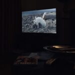 vizionarea documentarelor despre natură