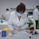 test rapid coronavirus