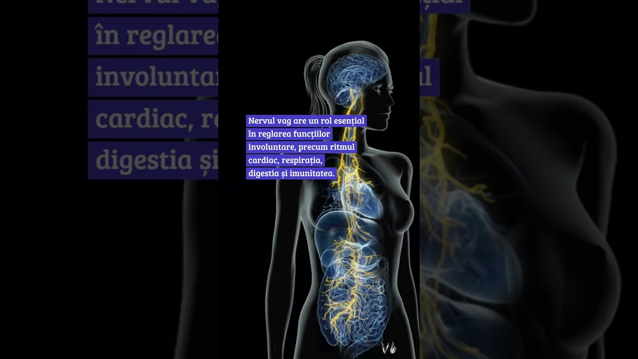 Relatia dintre nervul vag si anxietatea