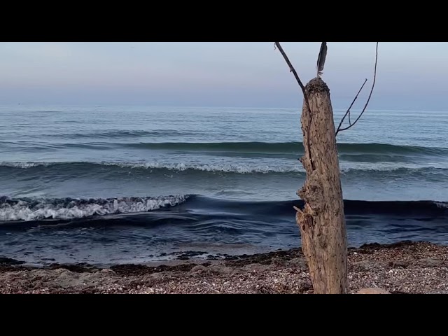 5 minute de calm pe malul mării