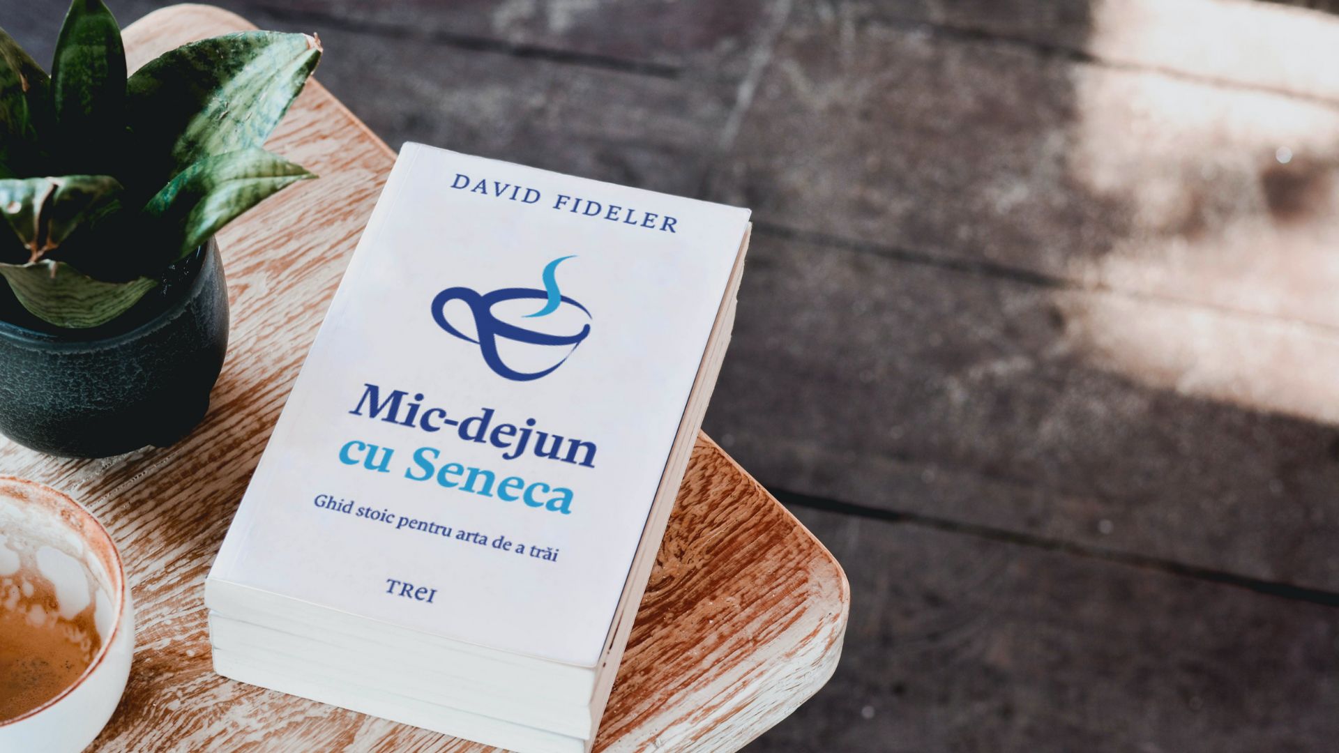 exercitii filosofice stoice