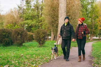 miscare tulburare afectuva sezoniera