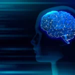 103046 6733ae9450a05