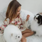 girl cute white puppies sitting bed 23 2148797417 675c61813cdd9