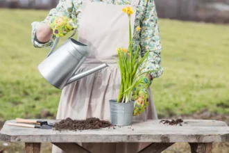 2148128686 67e1a9db2f624