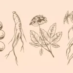 8427533 3912504 68093ccbe7a93