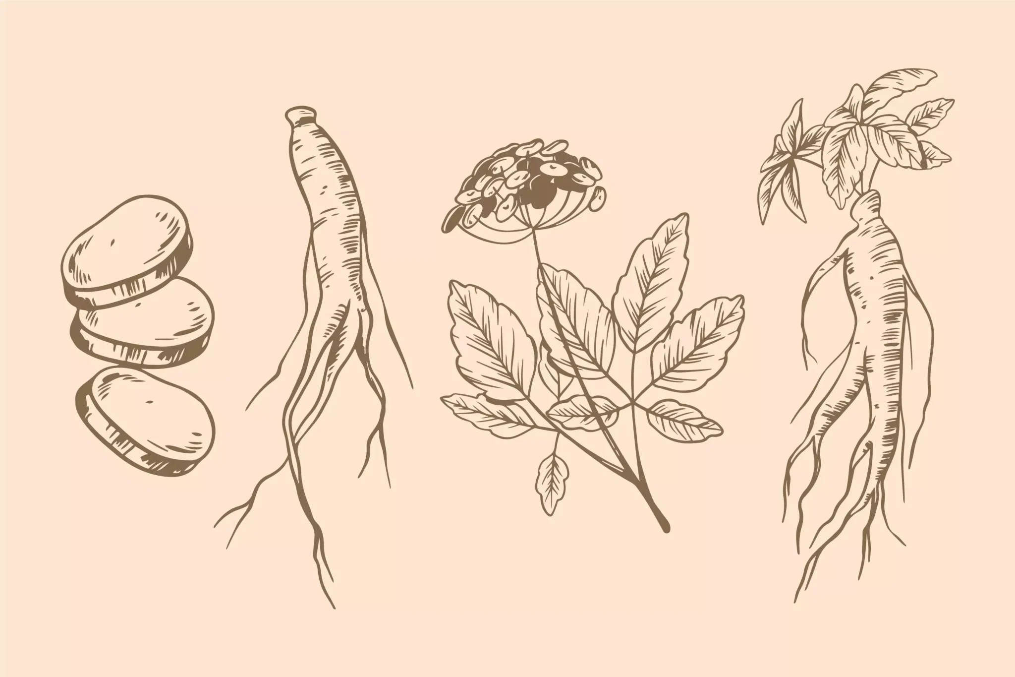 8427533 3912504 68093ccbe7a93