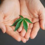 pexels kindelmedia 7667811